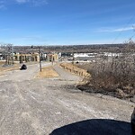Coyote Sightings and Concerns at 304 Piita Ri SW