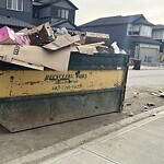 Debris on Street, Sidewalk, Boulevard at 125 Legacy Reach Cres SE Legacy