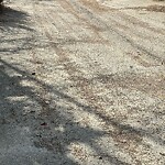 Backlane Maintenance at 75 Woodfern Dr SW