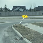 Road Signs on Street, Lane, Sidewalk - Repair or Replace at 12099 Shaganappi Tr NW