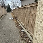 Debris on Street, Sidewalk, Boulevard at 145 Simcoe Ci SW