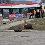 Bus Stop - Garbage Bin Concern at 7916 Centre St N