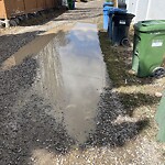 Backlane Maintenance at 1331 Child Av NE