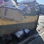 Debris on Street, Sidewalk, Boulevard at 84 Legacy Reach Cres SE Legacy