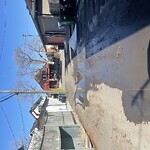 Backlane Maintenance at 640 11 Ave NE Renfrew