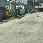 Backlane Maintenance at 4440 14 St NW