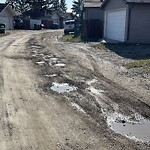 Backlane Maintenance at 611 Aboyne Cr Ne, Calgary, Ab T2 A5 Y7