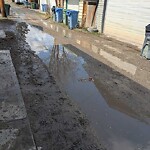 Backlane Maintenance at 228 20 Av NW
