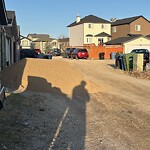 Backlane Maintenance at 172 Martinvalley Cr NE
