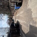 Backlane Maintenance at 3831 8 St SW Elbow Park