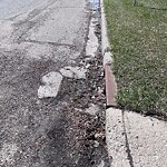 Catch Basin / Storm Drain Concerns at 639 13 Av NE