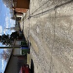 Backlane Maintenance at 2419 4 Ave NW Northwest Calgary