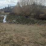 Catch Basin / Storm Drain Concerns at 125 Coverton Ht NE