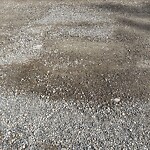 Pothole Repair at 5356 La Salle Cr SW