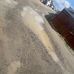 Backlane Maintenance at 2077 New Brighton Gd SE