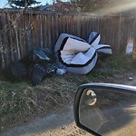 Debris on Backlane at 210 Martinbrook Pl NE