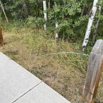 Fence or Structure Concern - City Property at 5 Elgin Meadows Ci SE