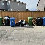 Debris on Backlane(OLD) at 1227 140 Av NW