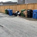 Debris on Backlane(OLD) at 1227 140 Av NW