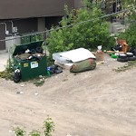 Debris on Backlane(OLD) at 3716 15 A St SW