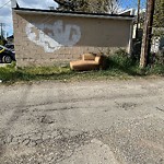 Debris on Backlane(OLD) at 110 12 Av NE