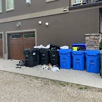 Debris on Backlane(OLD) at 2808 1 St NW