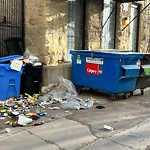 Debris on Backlane(OLD) at 117 7 Av SW