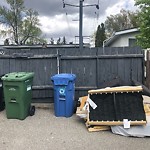 Debris on Backlane(OLD) at 619 19 St NE