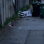 Debris on Backlane(OLD) at 56 Falconridge Cl NE