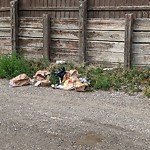 Debris on Backlane(OLD) at 67 Falsby Pl NE Northeast Calgary