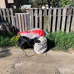 Debris on Backlane(OLD) at 4415 20 Av NW