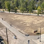 Shrubs, Flowers, Leaves Maintenance in a Park-WAM at 251 8 St SW