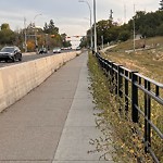 Shrubs, Flowers, Leaves Maintenance in a Park-WAM at 210 Centre St N