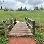 Fence or Structure Concern - City Property at 4015 Crestview Rd SW