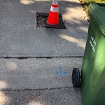 On-Street Bike Lane - Repair at 180 Shawmeadows Rd SW