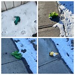 Debris on Street, Sidewalk, Boulevard at 146 Coventry Vw NE