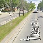 Tree Maintenance - City Owned at 11545 Tuscany Bv NW