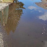 Catch Basin / Storm Drain Concerns at 955 Archwood Rd SE