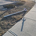 Road Signs on Street, Lane, Sidewalk - Repair or Replace at 93 Crowfoot Ci NW
