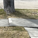 Sidewalk or Curb - Repair at 14020 Parkland Bv SE