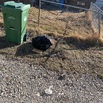 Debris on Backlane at 69 Falworth Wy NE