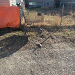Debris on Backlane at 67 Falworth Wy NE