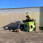 Debris on Backlane at 3411 17 Av SE