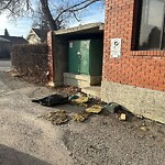 Debris on Backlane at 1950 10 St NW