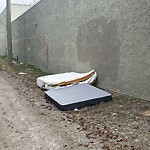 Debris on Backlane at 3214 28 St SW