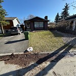 Sidewalk or Curb - Repair at 907 Whitehill Wy NE