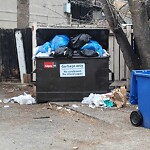 Debris on Backlane at 1610 28 Av SW