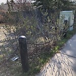 Debris on Backlane at 3 Somervale Dr SW